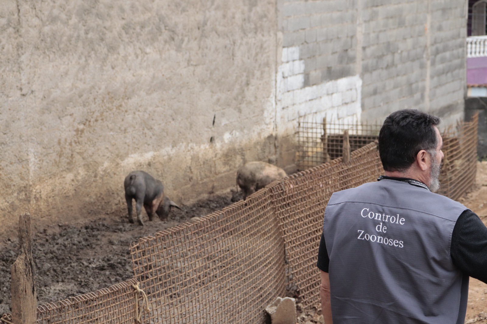 Mais de 60 animais vítimas de maus-tratos são resgatados em Suzano