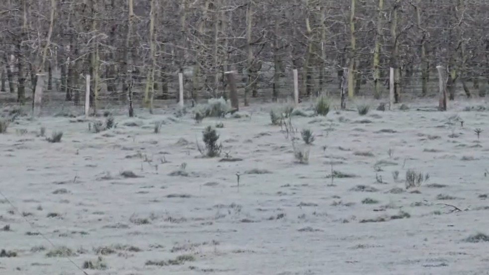 Brasil: masa de aire frío congela Santa Catarina y los termómetros llegan a -7,7 °C