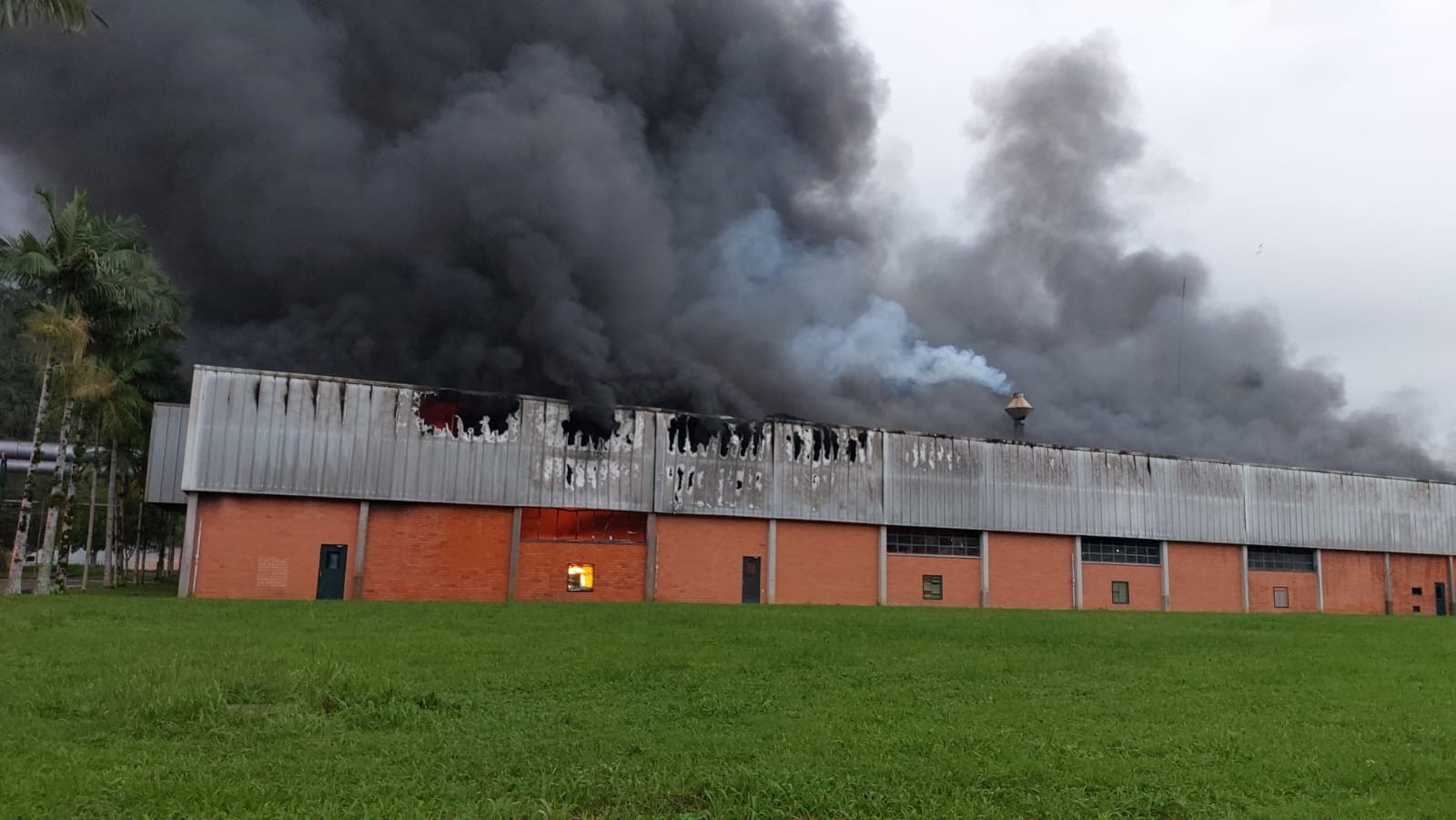 Galpão de empresa de materiais hospitalares pega fogo em Blumenau