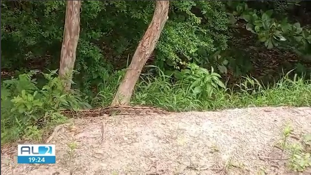 Circulação de jacarés, jiboias e capivaras em área urbana de Arapiraca geram alerta do MP