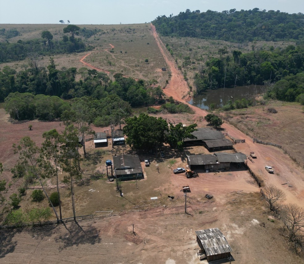 Propriedade rural onde cabeça de onça foi encontrada em MT — Foto: Polícia Civil