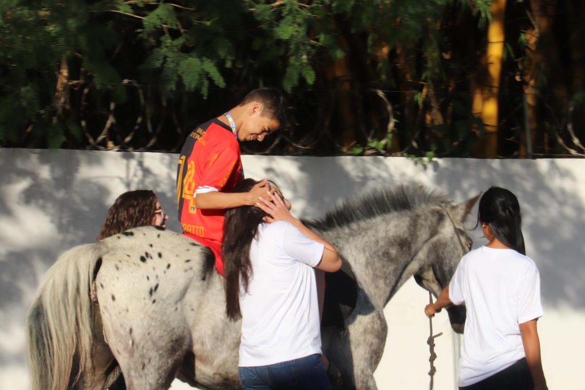 Patients from Sorocaba undergo equine therapy through SUS;  Understand how the service works |  Sorocaba and Jundiai