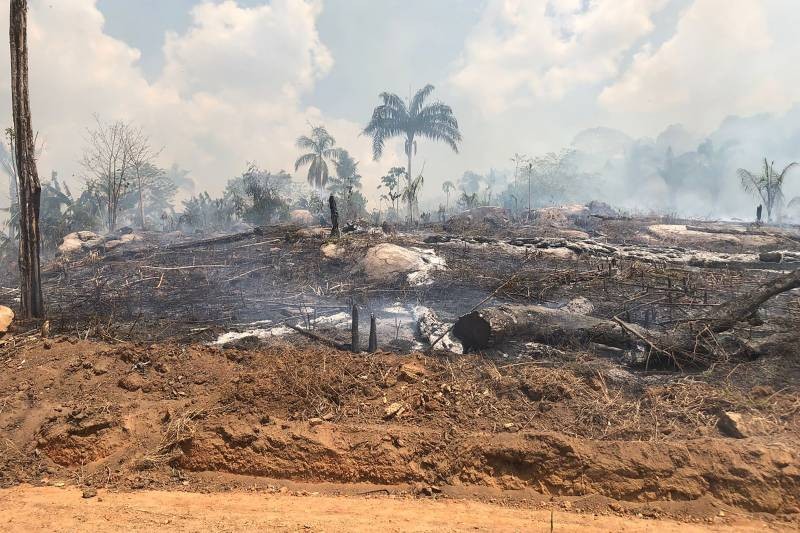 Suspeito de incendiar área equivalente a 6,8 mil campos de futebol é preso no Pará; fogo destruiu lavouras de cacau