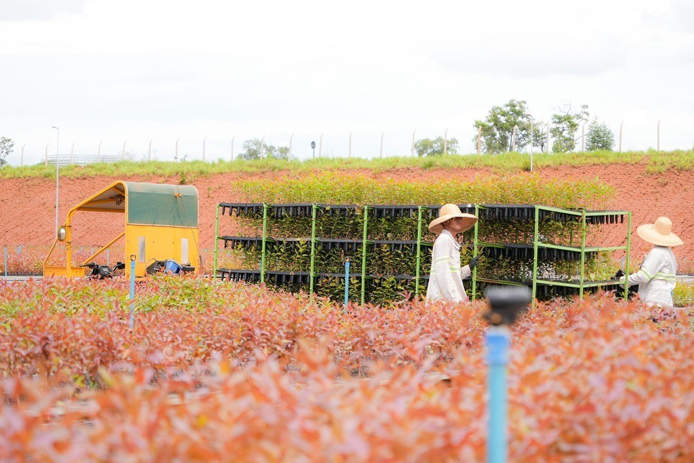 Empresa realiza cadastramento de currículos para a contratação de trabalhadores em Presidente Epitácio; saiba como participar