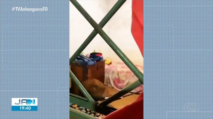Veado é resgatado dentro de casa em Colinas do Tocantins