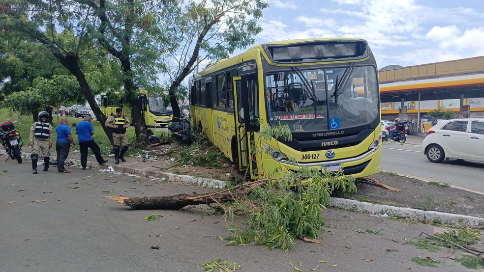 ônibus bate em árvore na Avenida Jerônimo Alburqueque, em São Luís — Foto: Juvêncio Martins/  TV Mirante