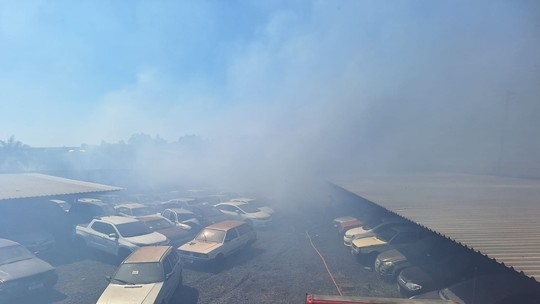 Incêndio destrói 35 veículos apreendidos em pátio na BR-050