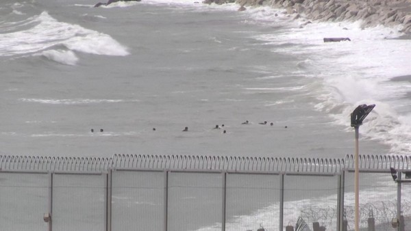 Imagem mostra migrantes nadando em direção à costa no lado marroquino da fronteira — Foto: Faro TV via REUTERS