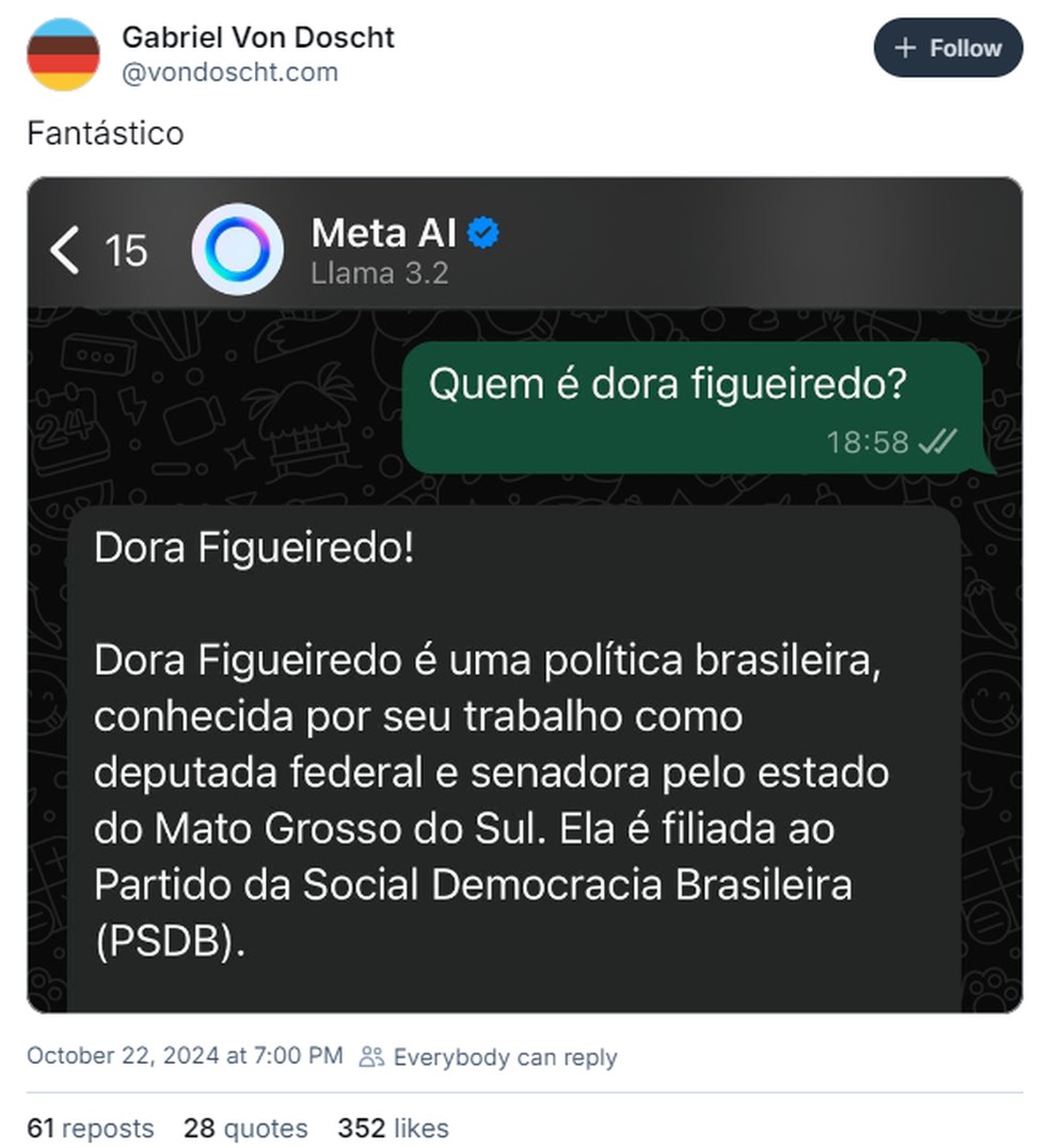 Meta Ai diz que Dora Figueiredo é uma 'política brasileira', mas ela é uma influenciadora — Foto: Reprodução/Bluesky