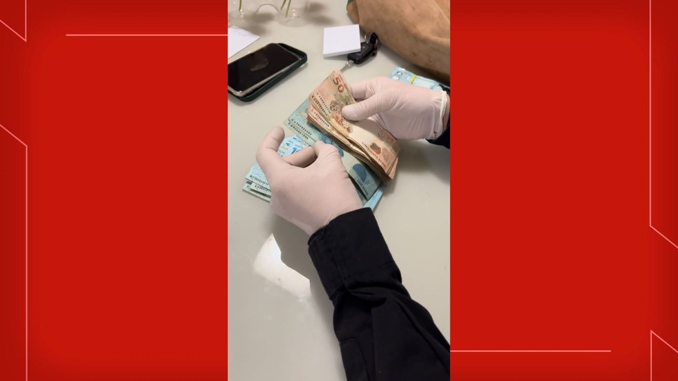 Polícia faz operação contra fraude no DF Legal — Foto: Reprodução