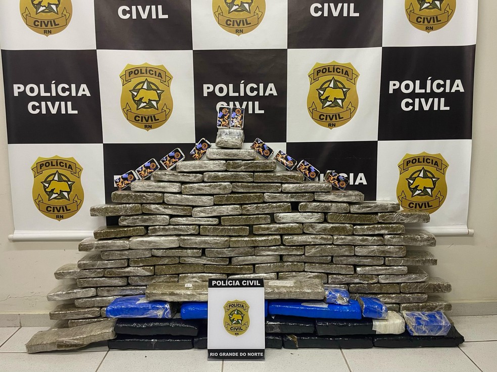 Maconha foi apreendida em empresa de logística de Parnamirim pela Polícia Civil — Foto: Divulgação/Polícia Civil