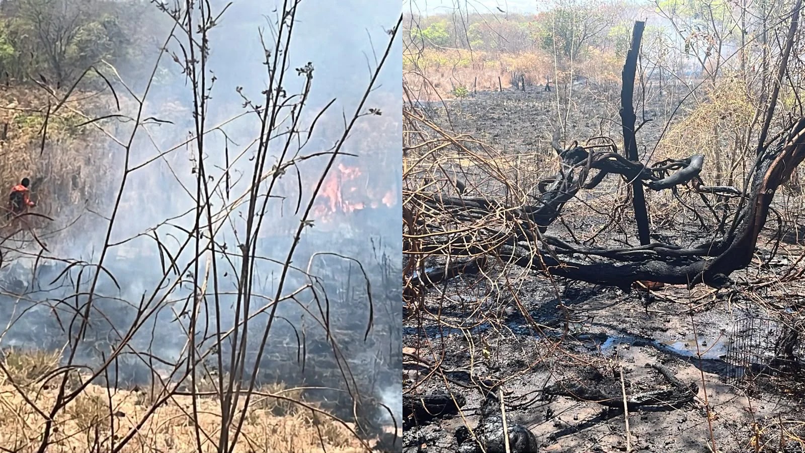 Incêndio atinge vegetação próxima a restaurante às margens da BR-135 no Sul do Piauí