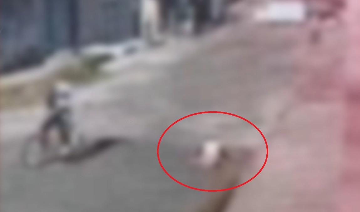 Vídeo: estudante é morta a tiros após sair da escola e criminoso foge de bicicleta, em Fortaleza