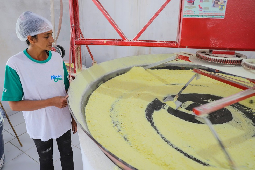 Produção de farinha chega a 335 mil toneladas em uma área de cerca de 14 mil hectares — Foto: Marcos Vicentti/Secom