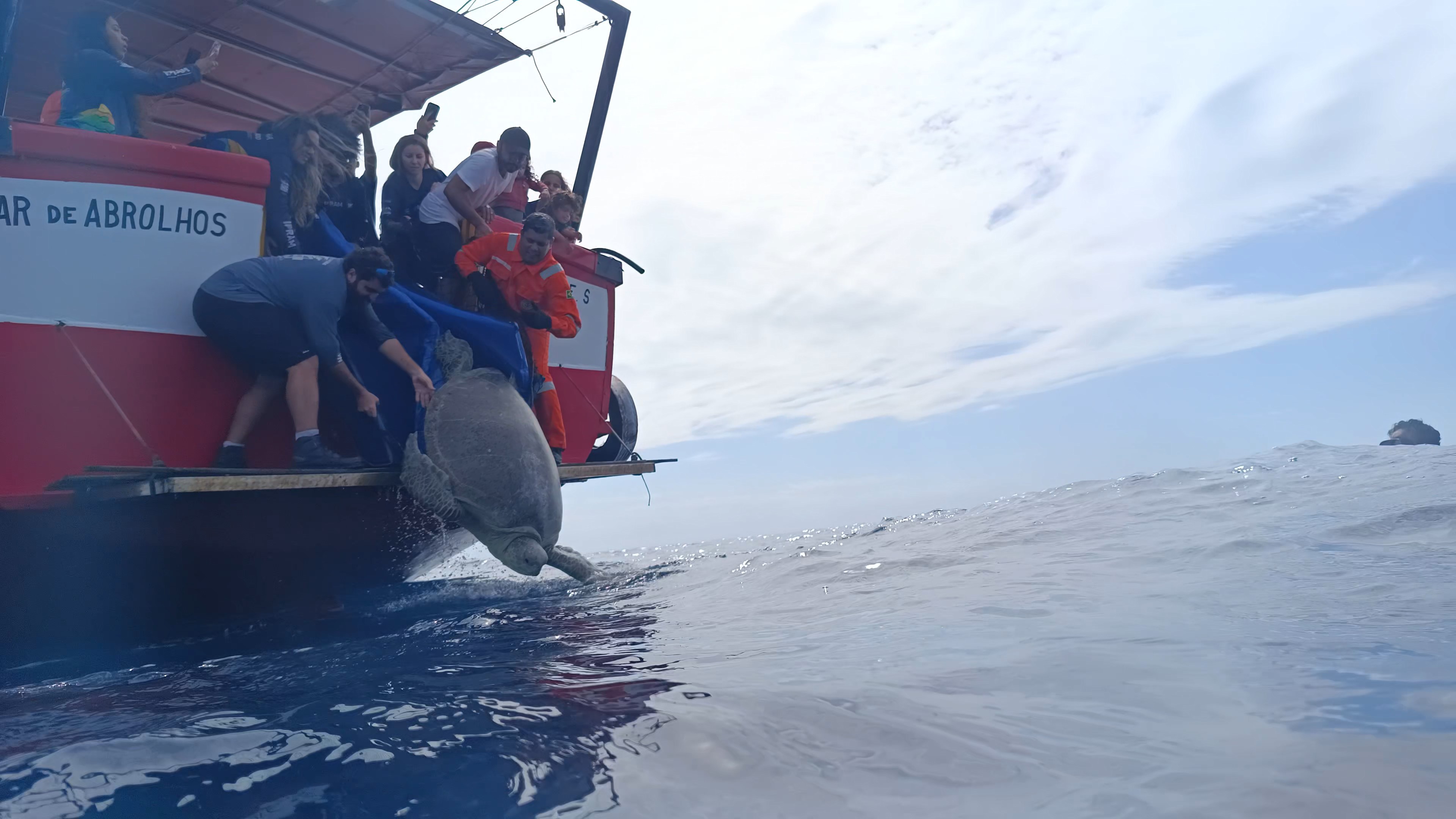 VÍDEO: Tartaruga de quase 200 kg é solta em alto-mar após 5 meses de reabilitação no litoral do ES