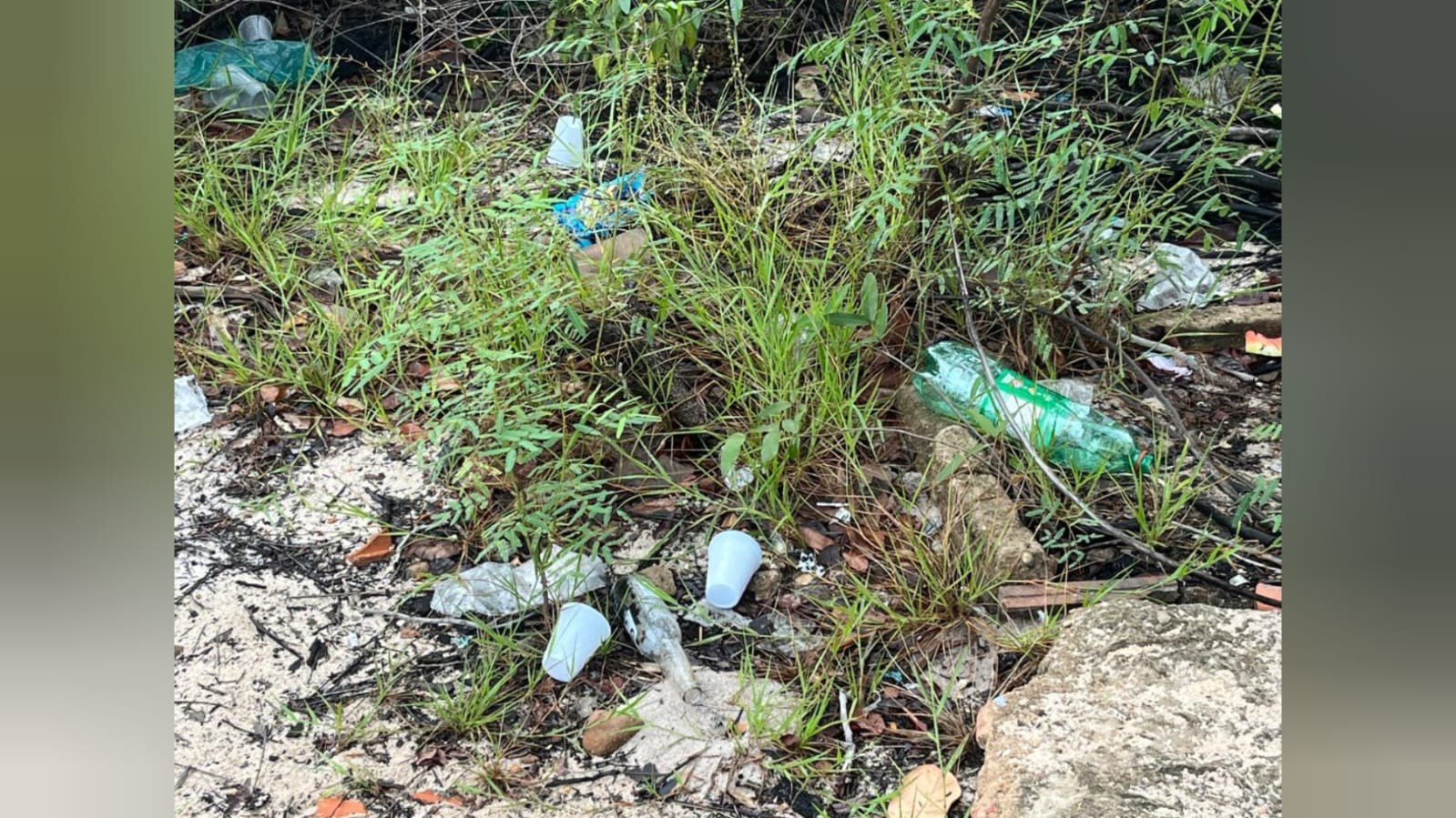 Descarte irregular de lixo ameaça Alter do Chão