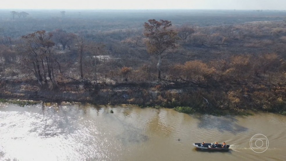 Incêndios no Pantanal prejudicam o ecoturismo da região — Foto: Reprodução/TV Globo