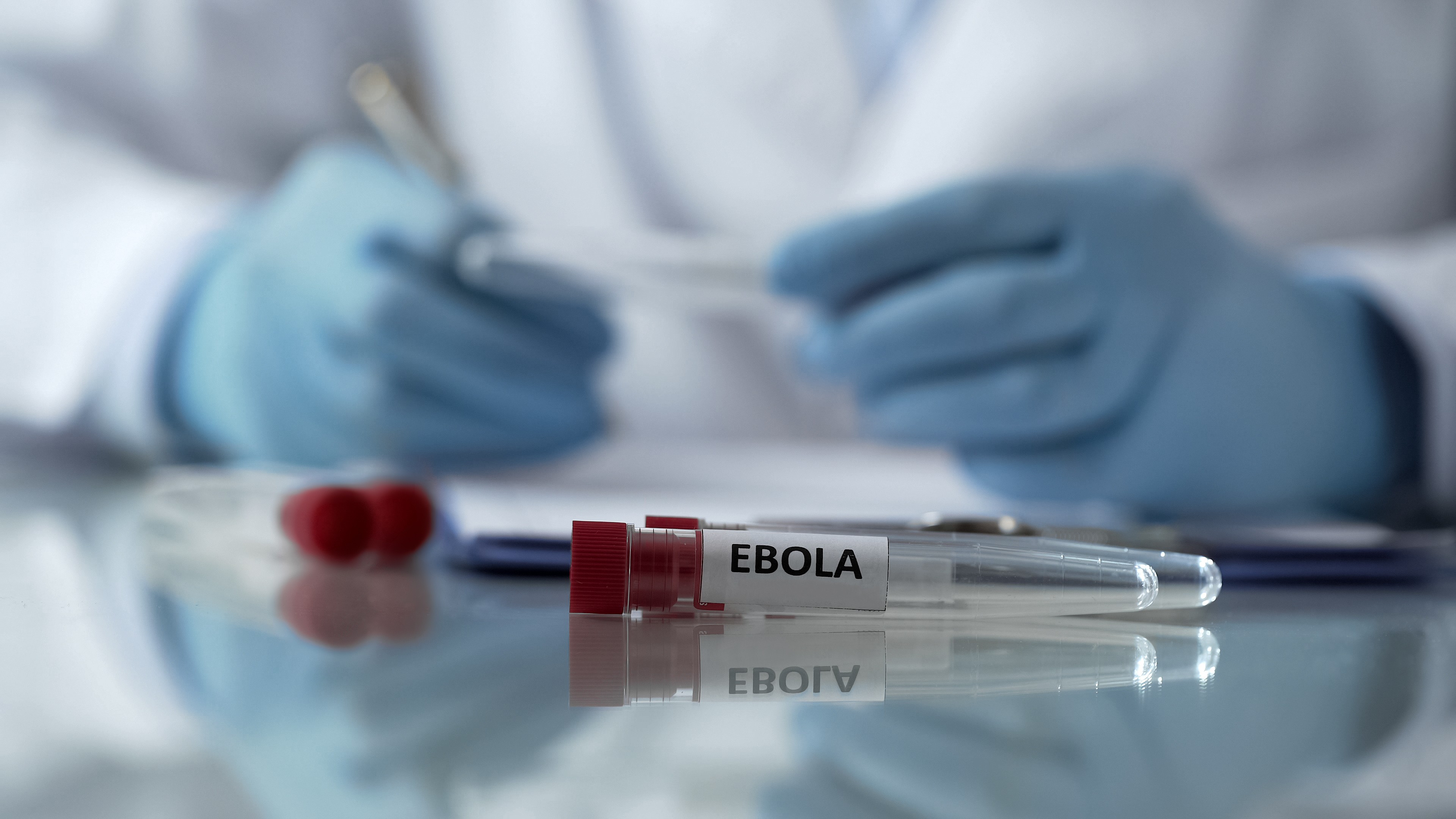Moderna anuncia parceria para desenvolver vacina contra cepa Bundibugyo do ebola