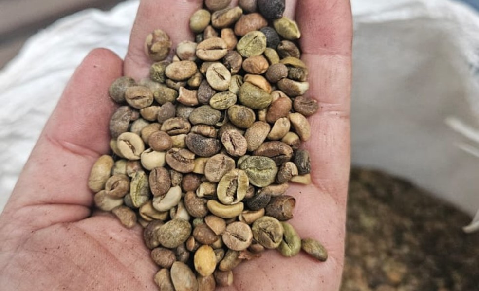 Operação retira mais de 2,4 toneladas de café impróprio do mercado no RJ — Foto: Reprodução/Mapa