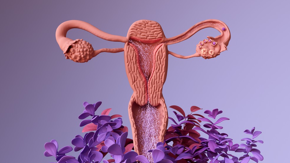 Setembro em flor: perspectivas para o tratamento do câncer de endométrio — Foto: Adobe Stock