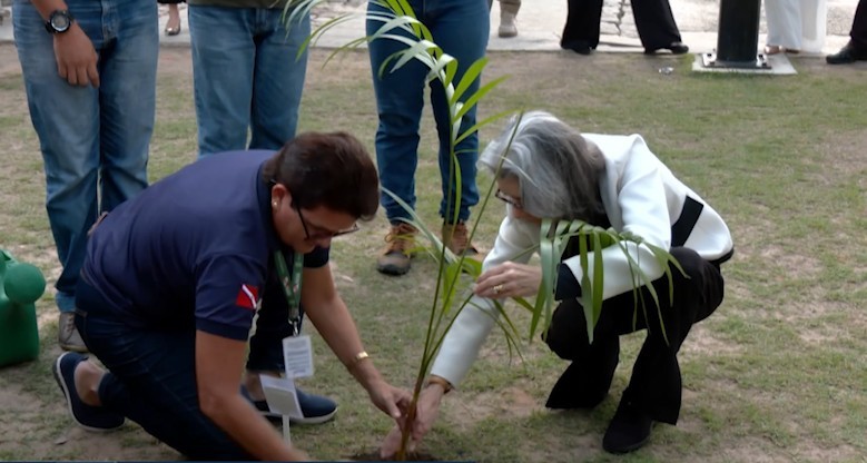 Cármen Lúcia e Cristiano Zanin plantam mudas de árvores nativas da Amazônia durante Fórum sobre democracia e sustentabilidade 
