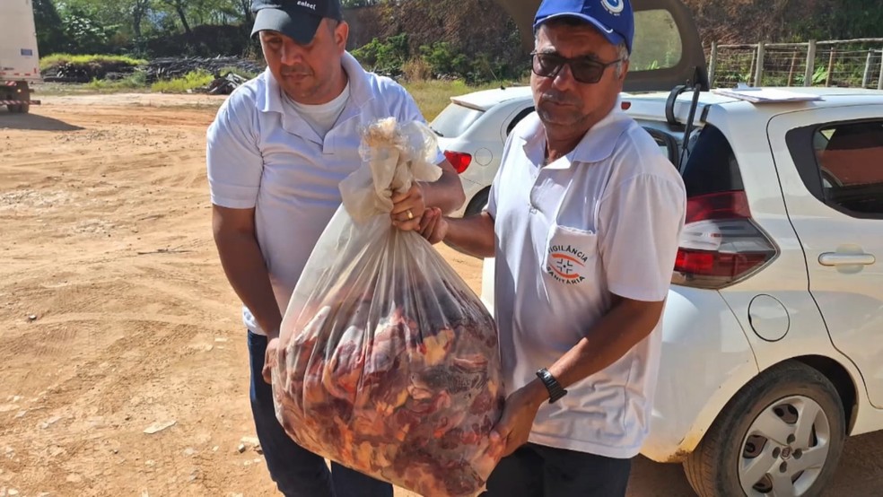 Carnes impróprias para consumo encontradas durante fiscalização da Vigilância Sanitária de Barra de são Francisco — Foto: Reprodução/TV Gazeta