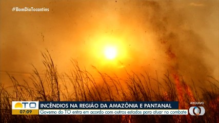 Tocantins e outros estados entram em acordo para combater incêndios na Amazônia e Pantanal