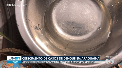 Araguaína registra aumento de casos de dengue