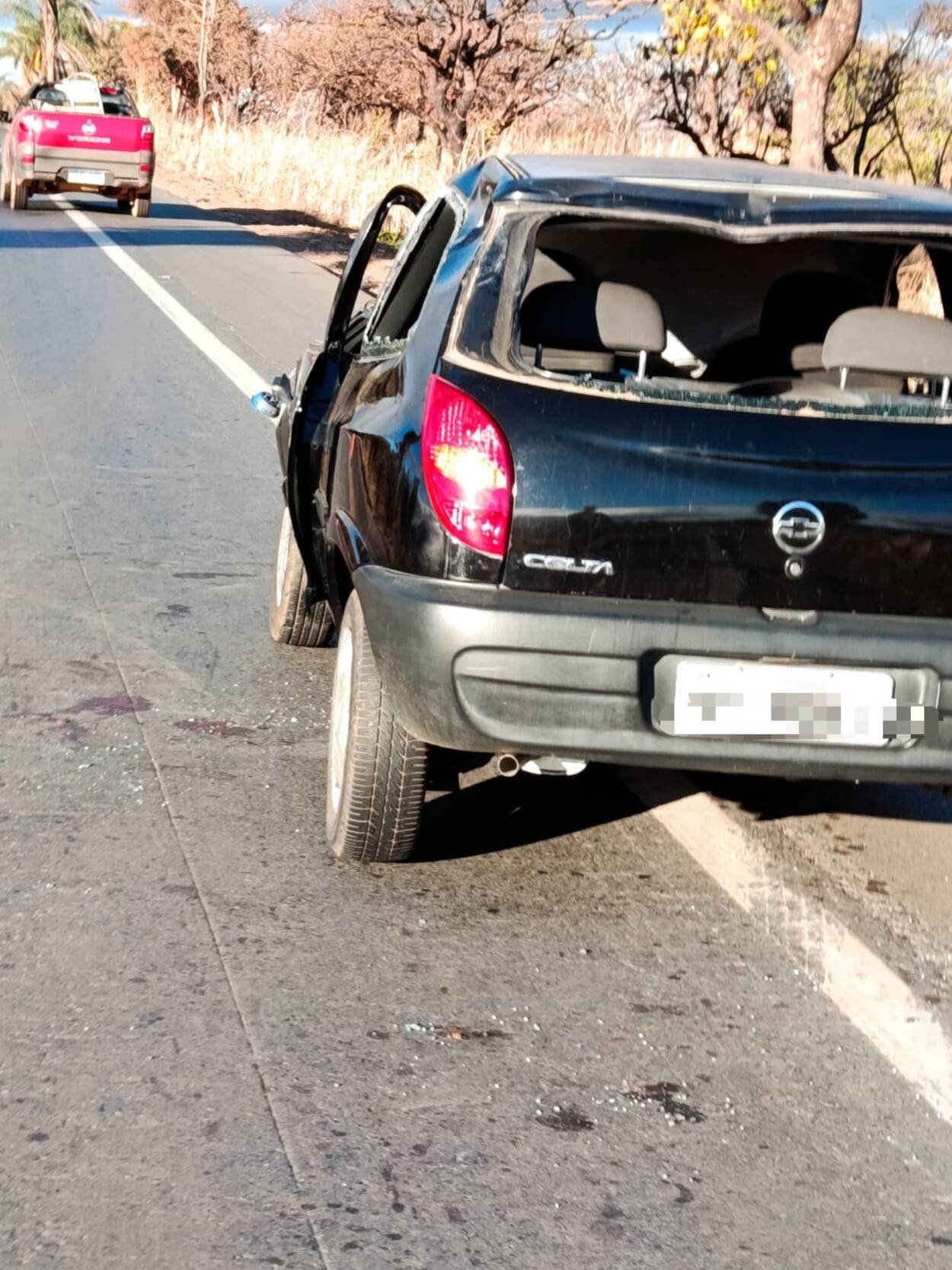 Carro bate em cavalo na BR-365 e deixa quatro feridos, incluindo idosa de 100 anos