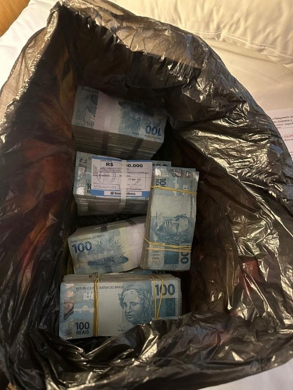 Dinheiro estava guardado em sacos de lixo — Foto: Divulgação