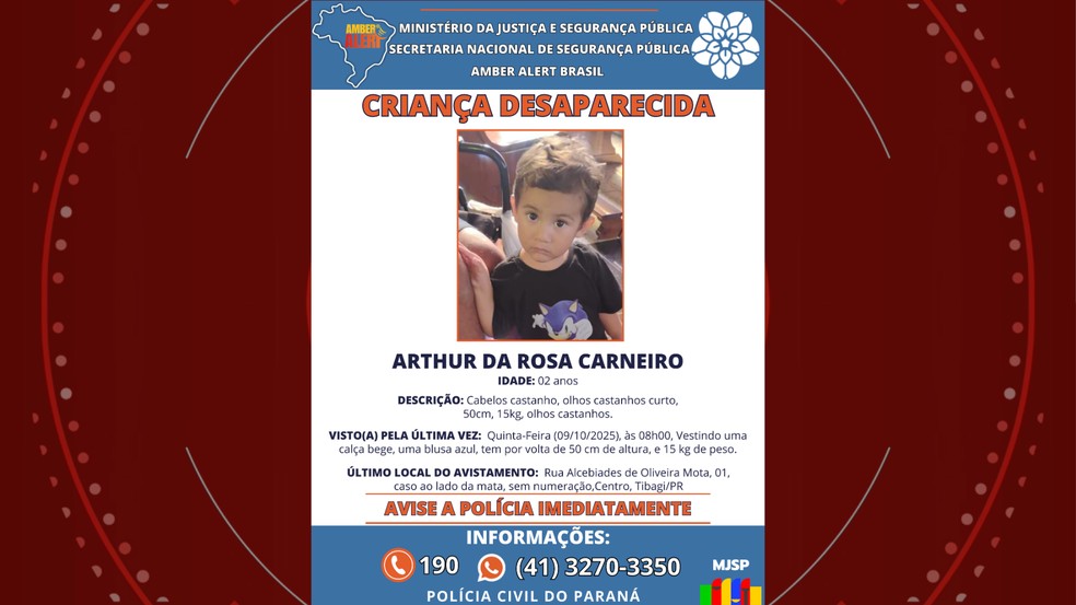 Arthur da Rosa Carneiro tem 2 anos — Foto: Reprodução