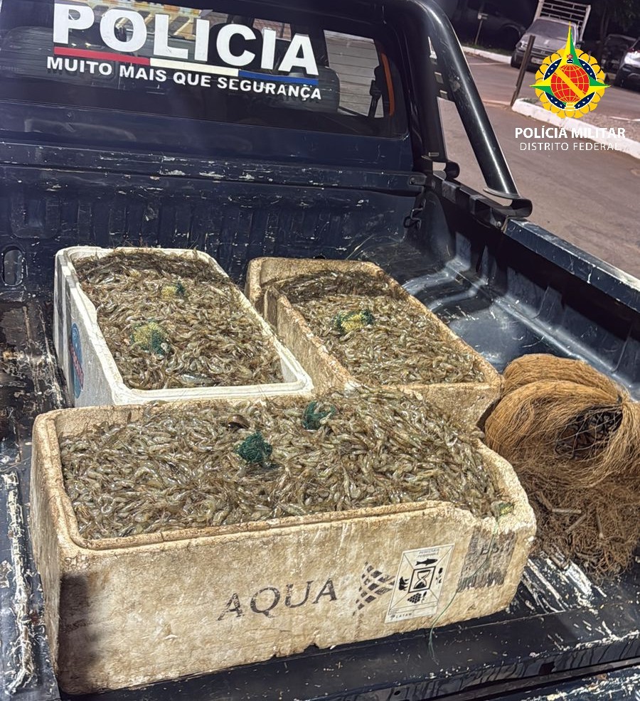 Dupla é presa após pescar 100kg de camarão no Lago Paranoá, em Brasília