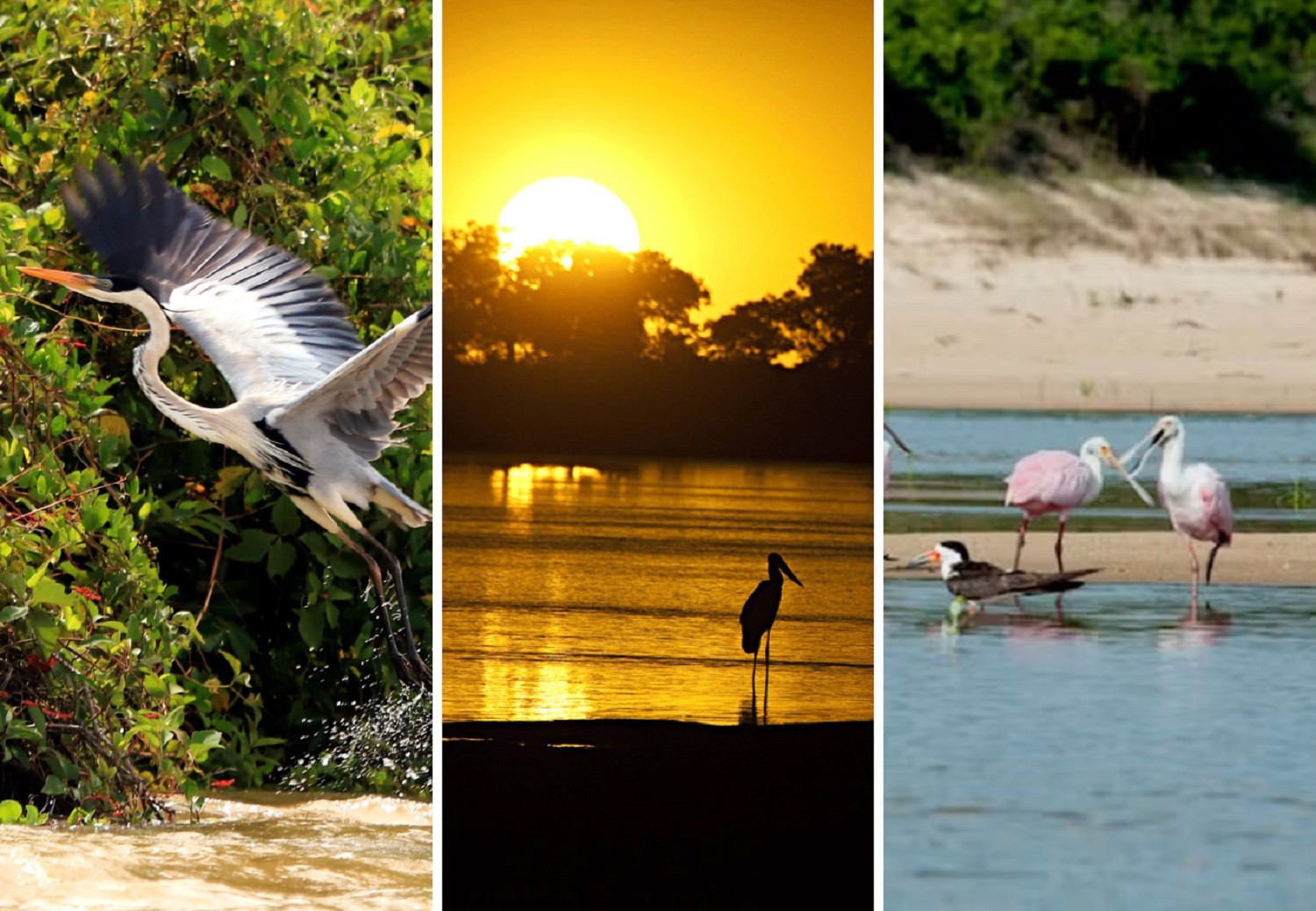 Lagoas, trilhas e encontro de biomas: conheça parque estadual que pode ser destino do ecoturismo no Tocantins