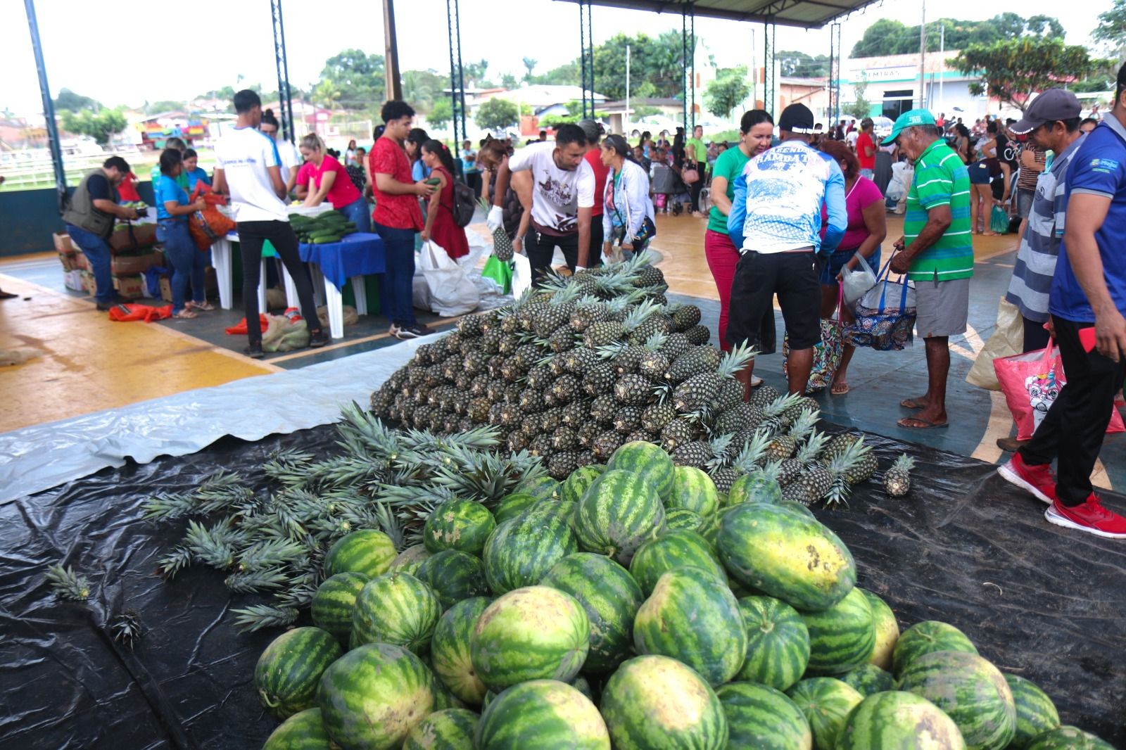 Famílias cadastradas no Cras recebem doação de frutas e verduras do PAA em Mojuí dios Campos
