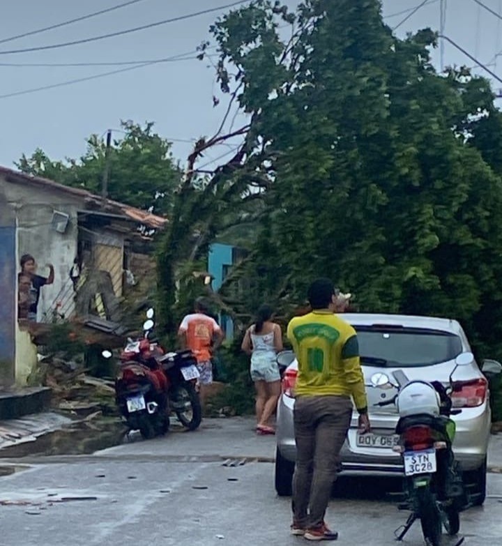 Vendaval destelha 20 casas e derruba árvores em Ananindeua, no Pará; VÍDEO