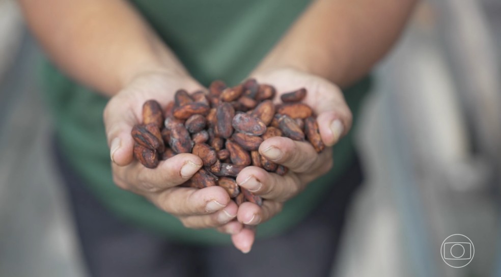 Produção de café, foto ilustrativa — Foto: Reprodução/TV Globo