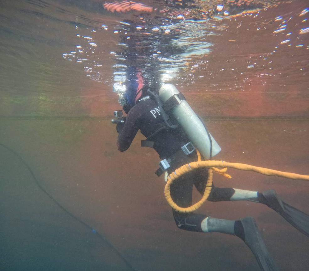 Fernando era considerado o mergulhador mais experiente do grupo com que estava trabalhando — Foto: Redes Sociais