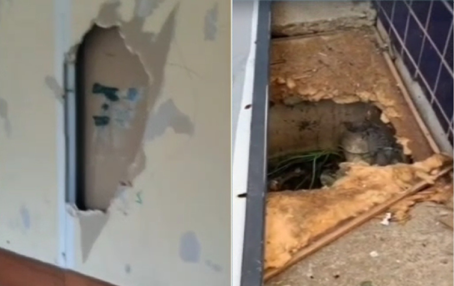 Você Não Tá Convidada pro Meu Bat Mitzvá!