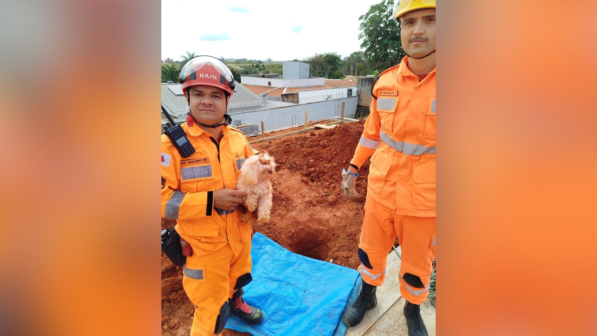 Shih tzu é salvo após ficar preso em escavação de obra com 6 metros de profundidade no interior de Minas
