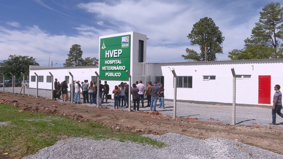 Atendimentos no primeiro dia de atendimento no Hospital Público Veterinário do DF — Foto: TV Globo/Reprodução