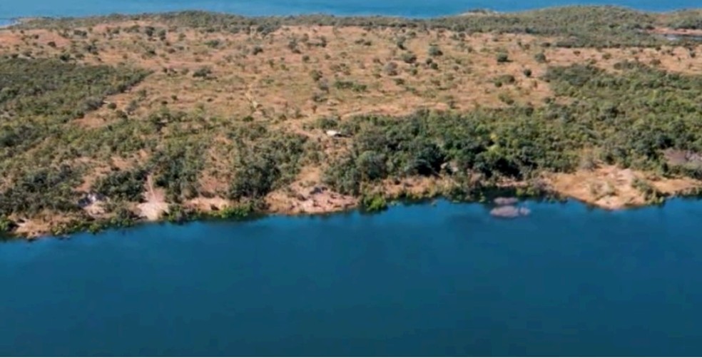 Ilha de 94 hectares no Lago Serra da Mesa tem característica de terreno plano — Foto: Divulgação/Welerson Antunes