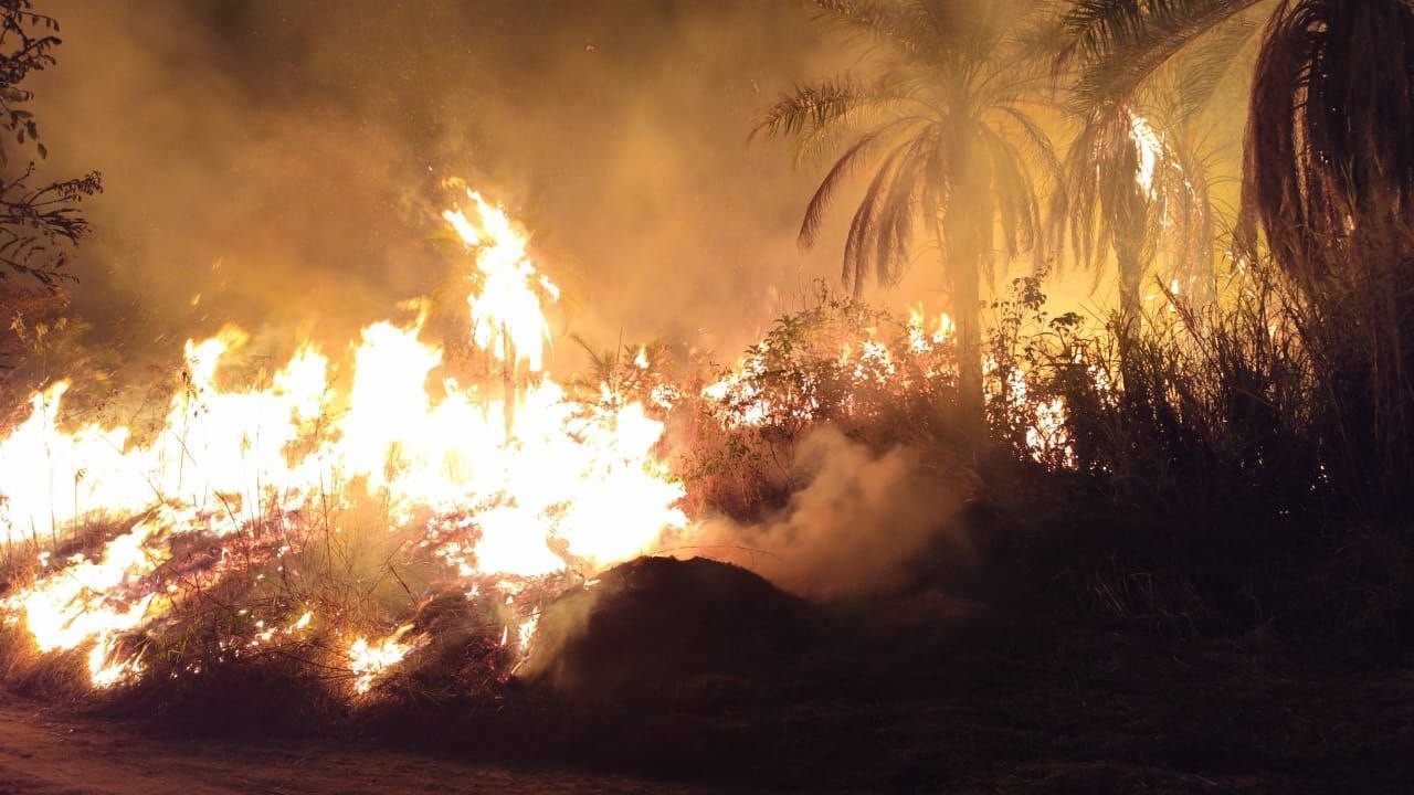 Incêndio atinge Parque Serra Verde, na Região de Venda Nova, em Belo Horizonte; VÍDEO