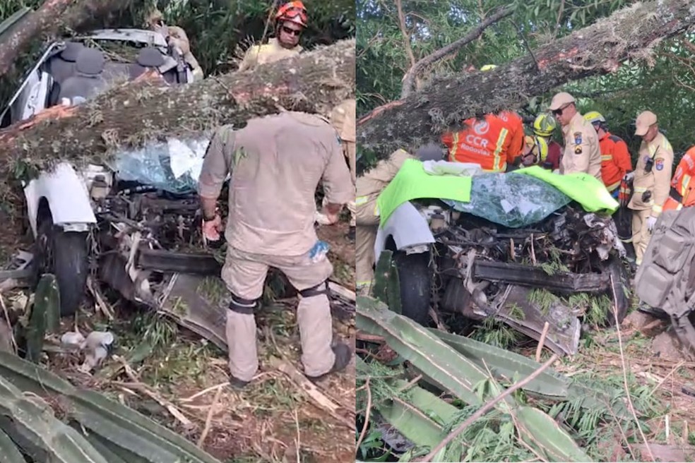 Motorista sobrevive após ser fechado por caminhão, cair em ribanceira e passar mais de 12h dentro de carro. — Foto: Cedida/TN Online