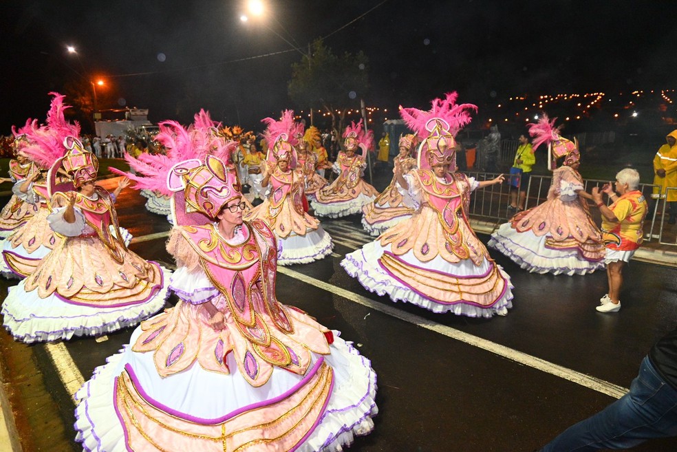 Carnaval 2024: confira a programação dos blocos, shows e desfiles de  escolas de samba na região, Bauru e Marília