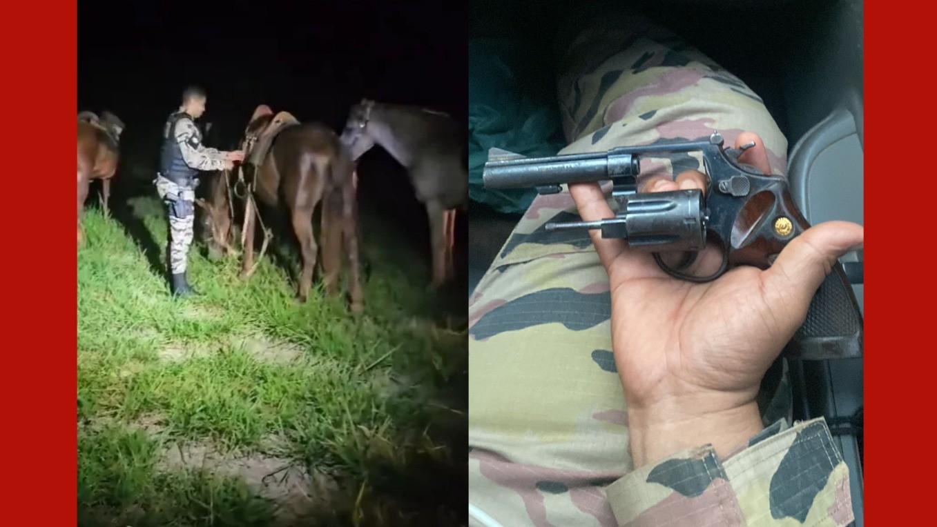 Operação prende quadrilha especializada em furto de gado em MT