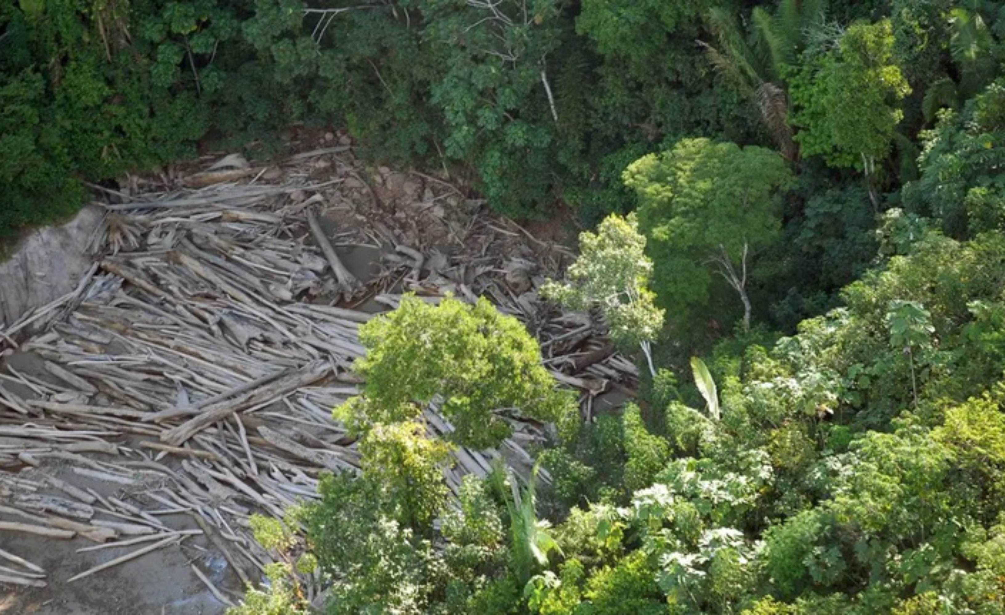 Fazendeiro é condenado a recuperar quase 132 hectares desmatados no Sul de Roraima