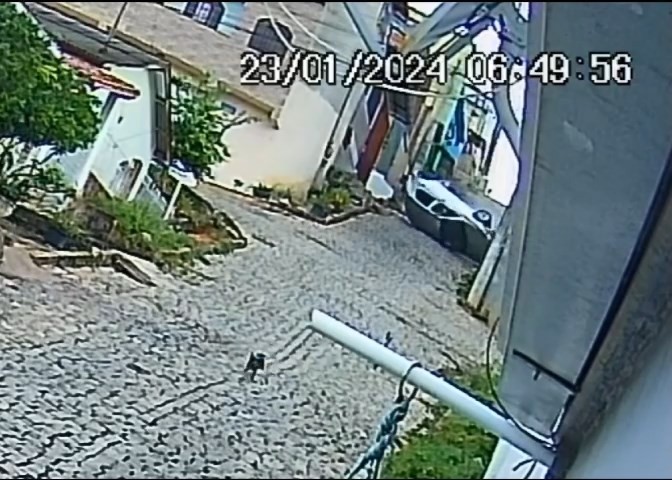 Carro capota e carona sai do veículo ainda em movimento no ES; veja VÍDEO