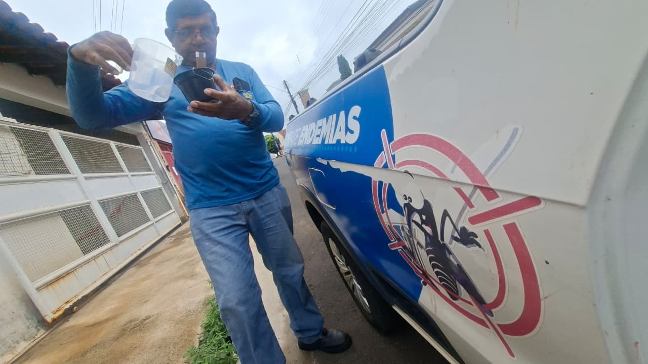 Armadilhas ajudam a mapear infestação do Aedes aegypti