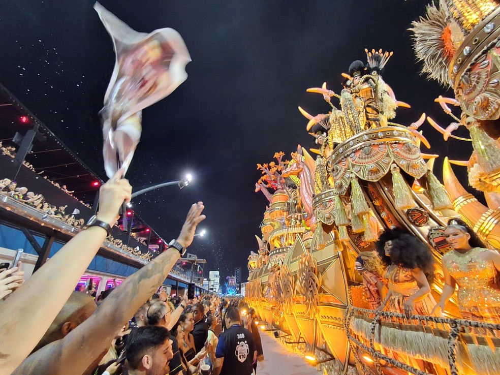 Anhembi acompanha o desfile da Dragões da Real — Foto: Gustavo Honório/g1