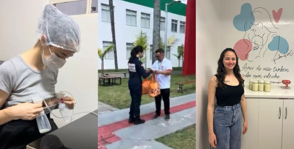 Bombeira de SC doa 100 litros de leite materno para bebês na UTI | G1